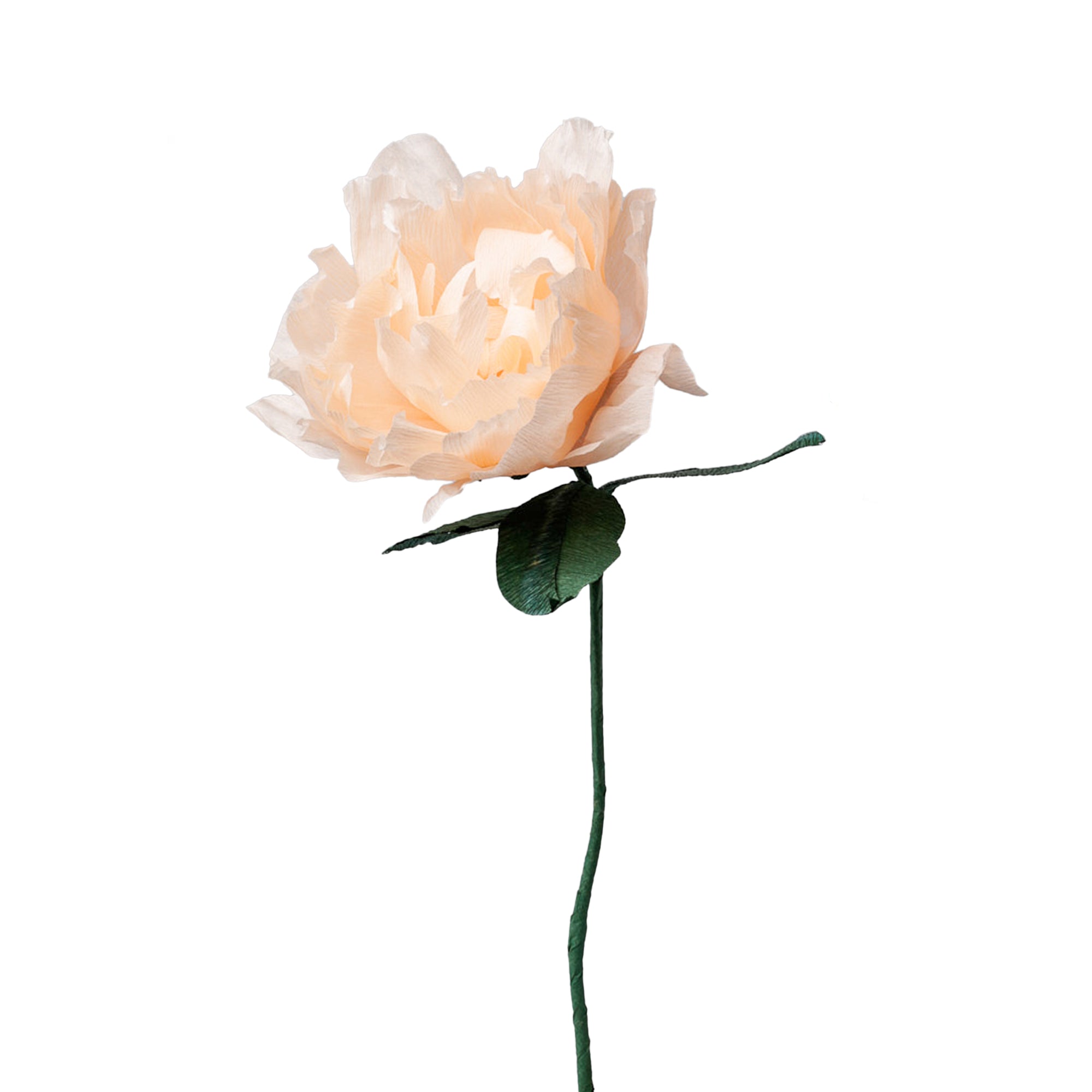 Handmade Crepe Peony Single Bloom Stem