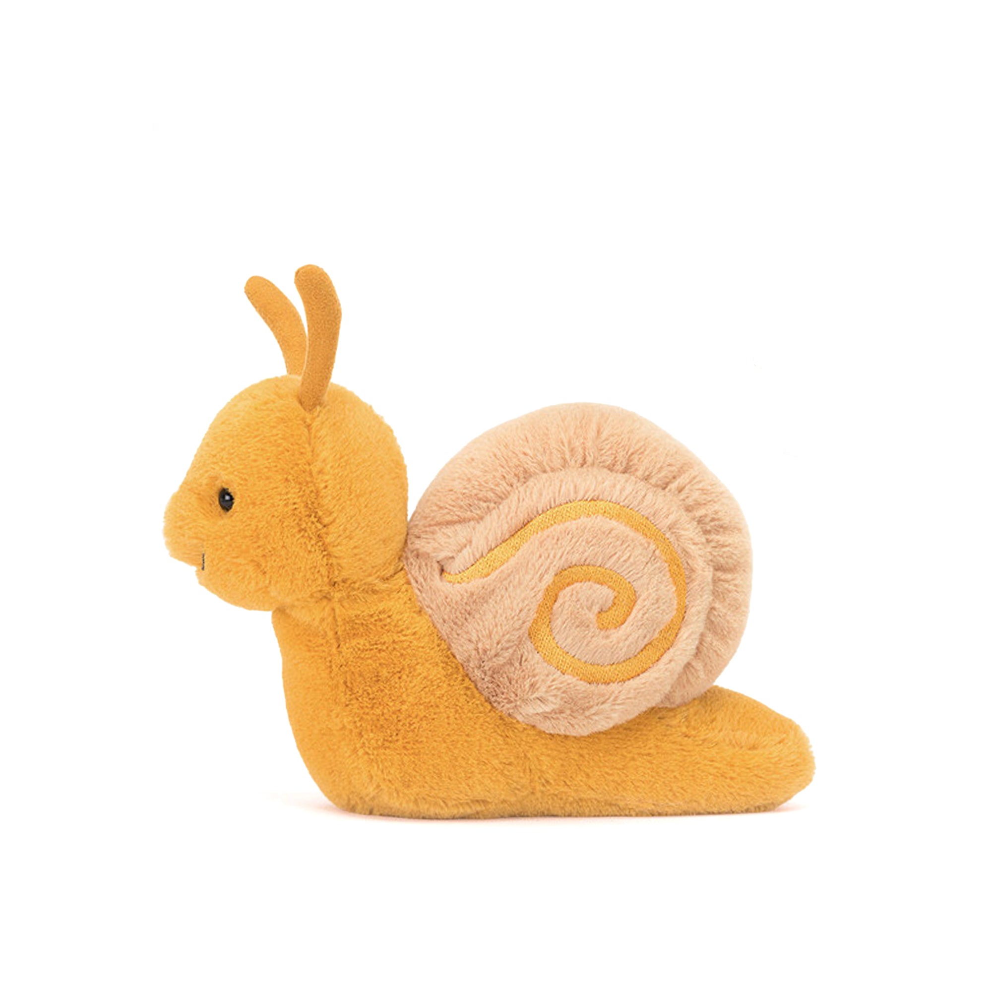 Sandy Snail