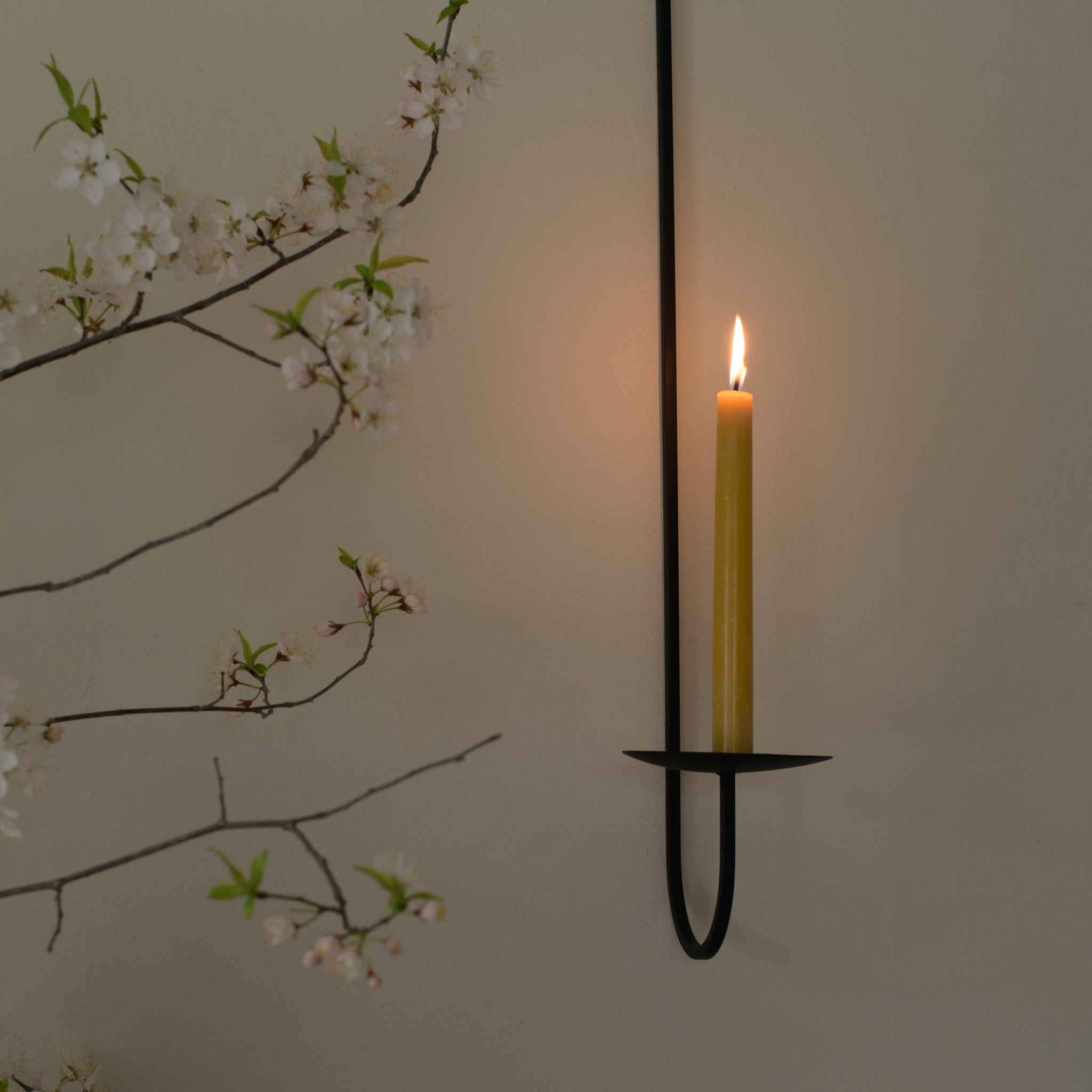Beeswax Tapers, 10 In