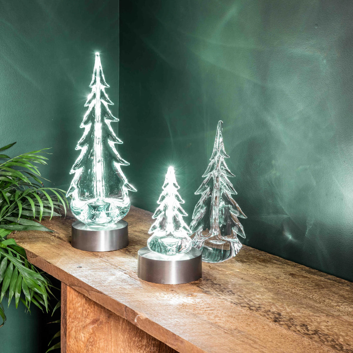 Dual-Light LED Illumination Base for Vermont Evergreens