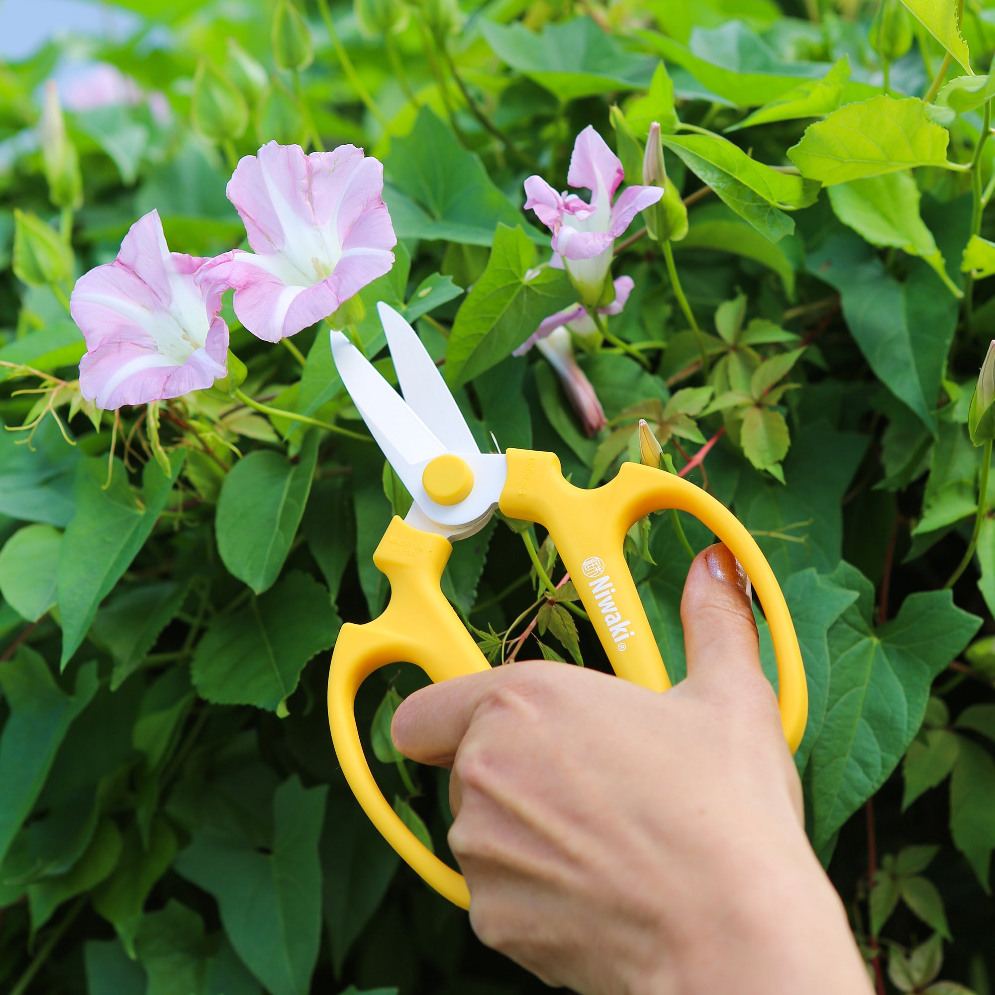Yellow Sakagen Flower Scissors, 7"