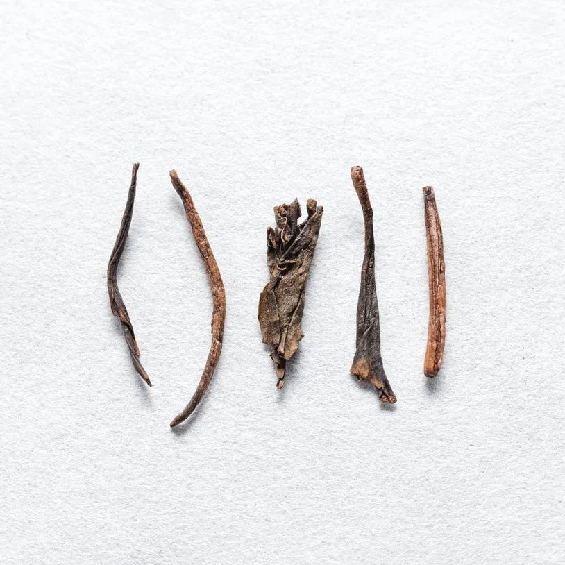 Houjicha Green Tea