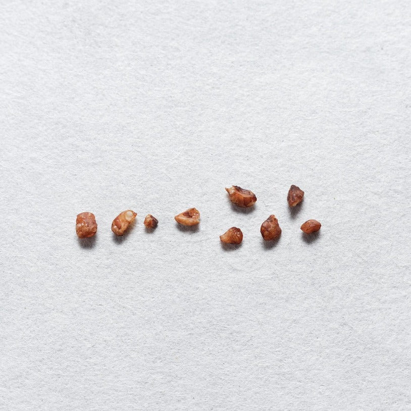 Soba Cha Nagano Buckwheat Herbal Tea