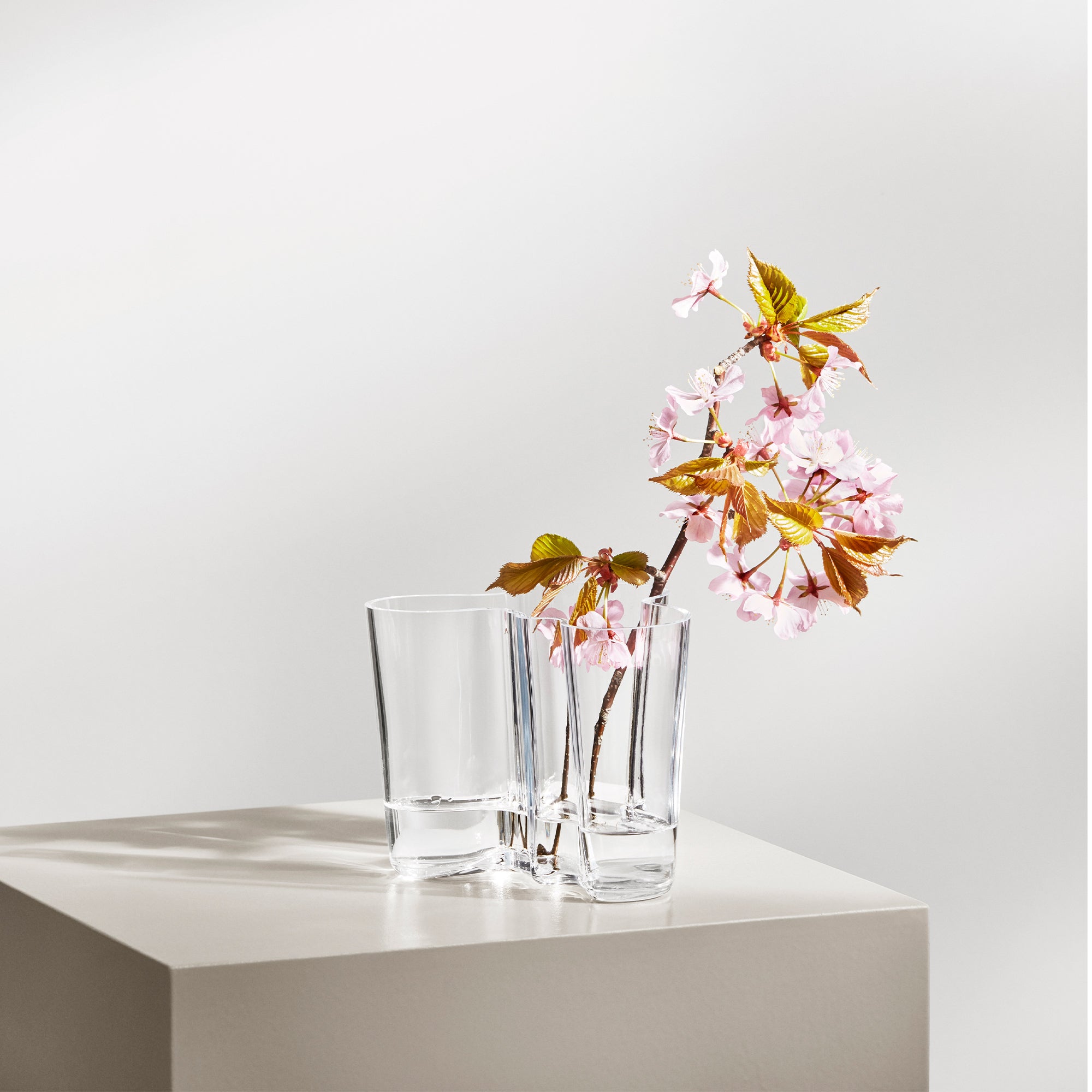 Aalto Vase 6.25" Clear