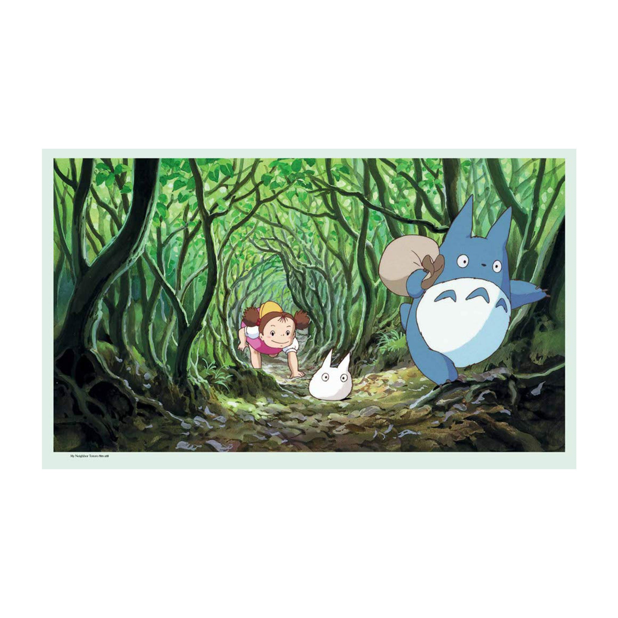 Hayao Miyazaki Book