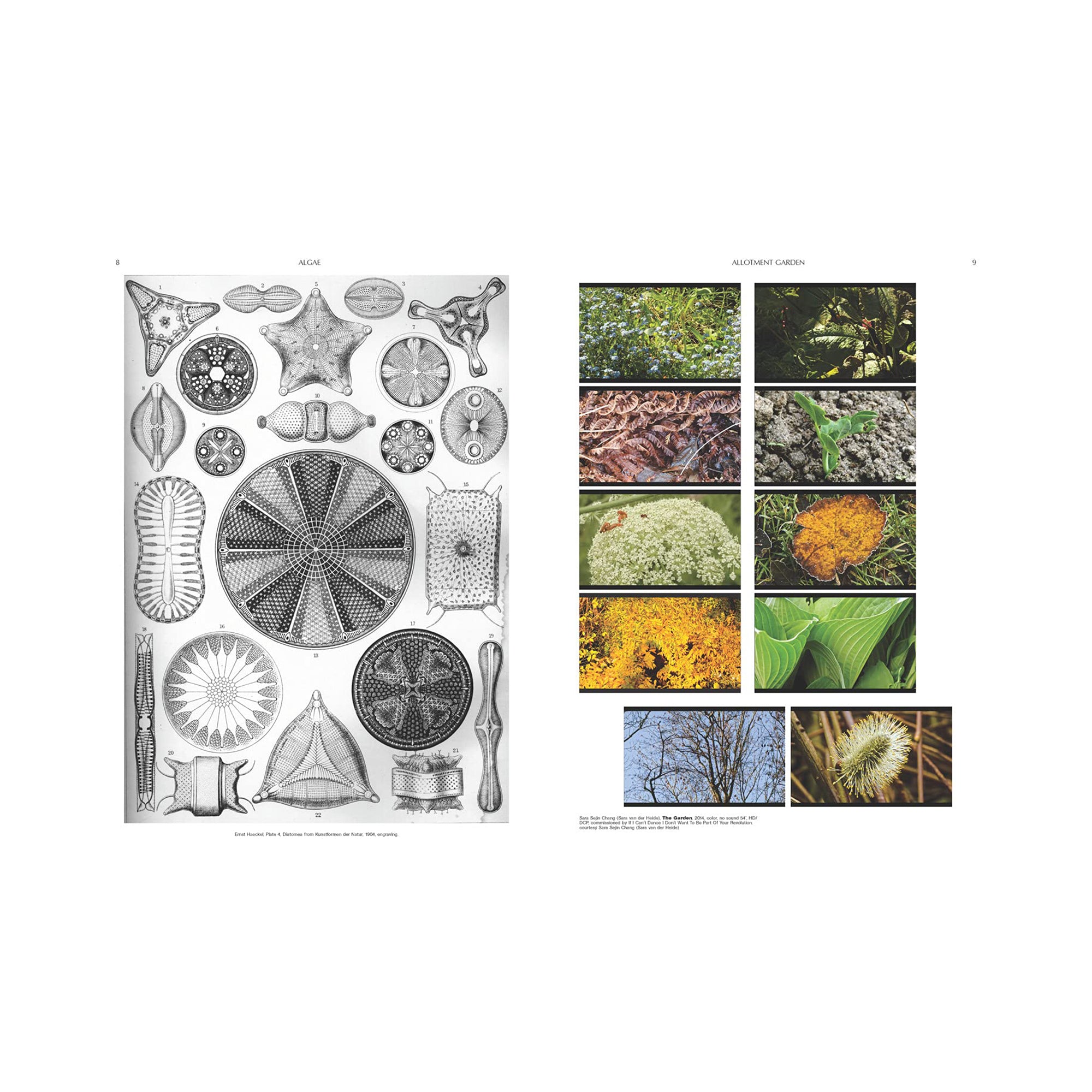 On the Necessity of Gardening: An ABC of Art, Botany and Cultivation