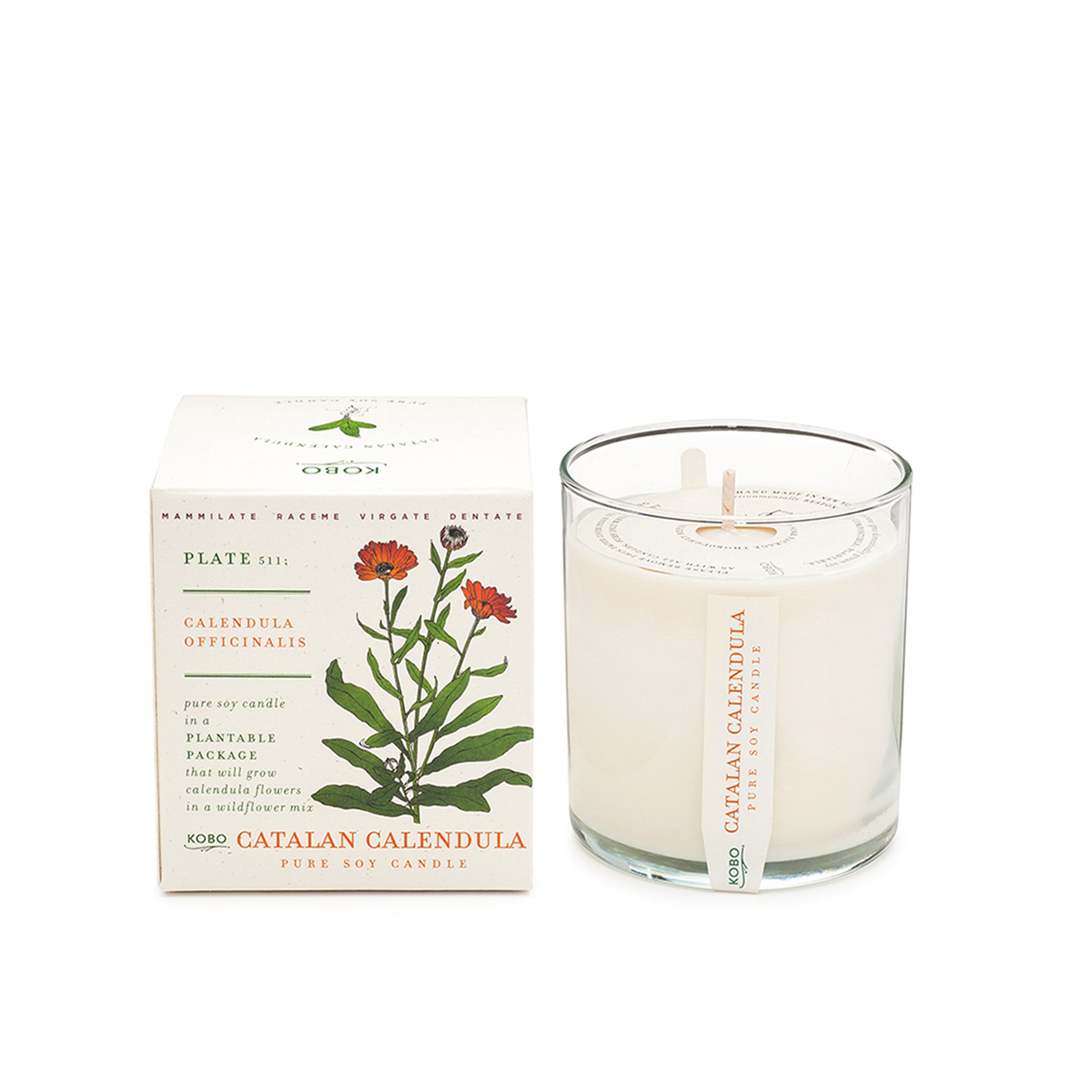 Catalan Calendula Candle