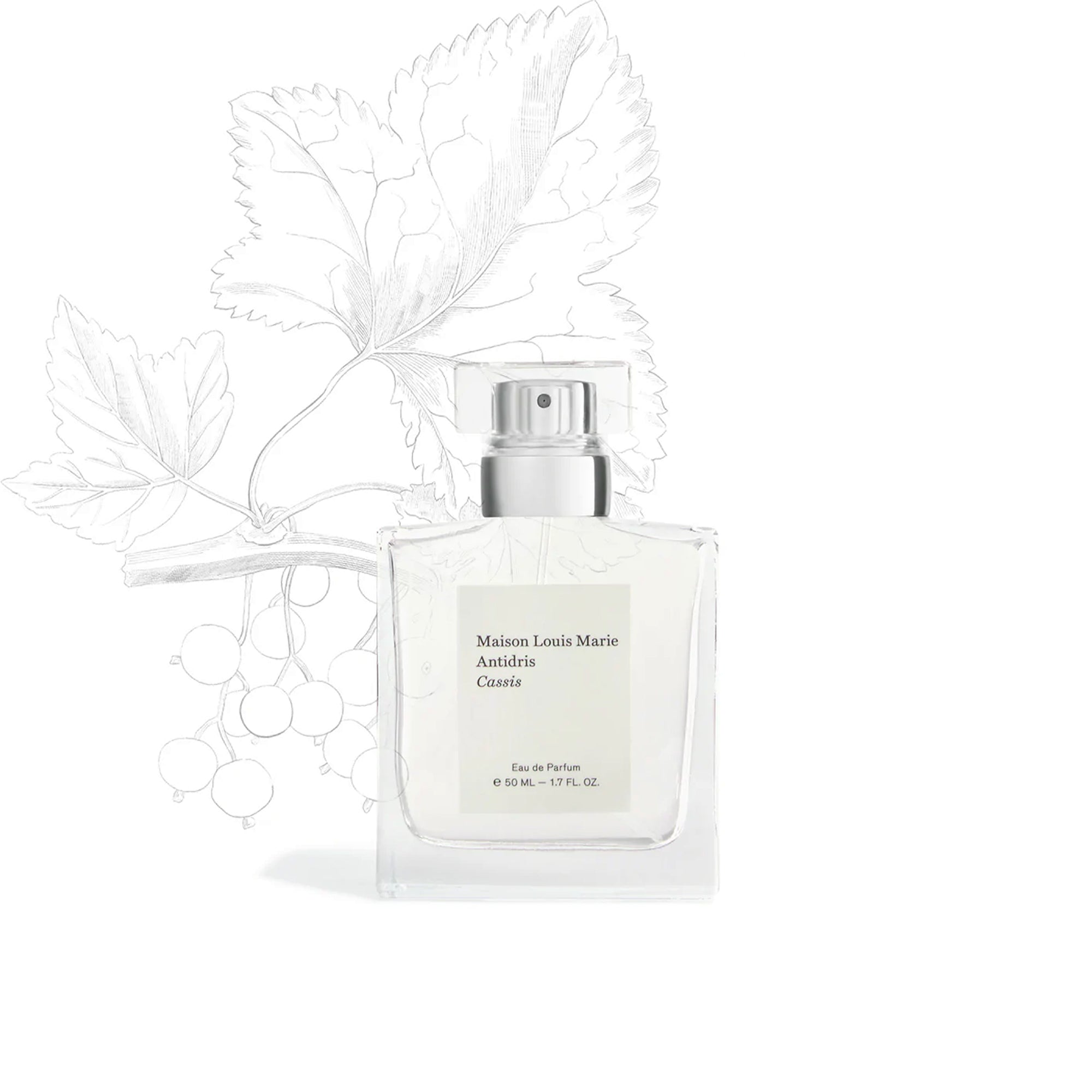 Eau de Parfum, Antidris Cassis
